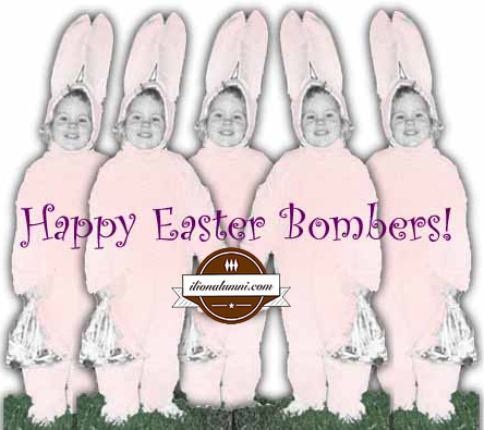 Bomber Bunnies