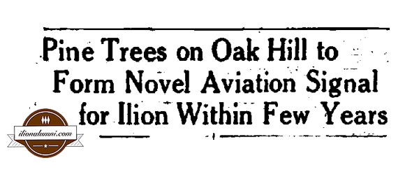 The Utica Daily Press - Pine Trees on Oak Hill - 1928